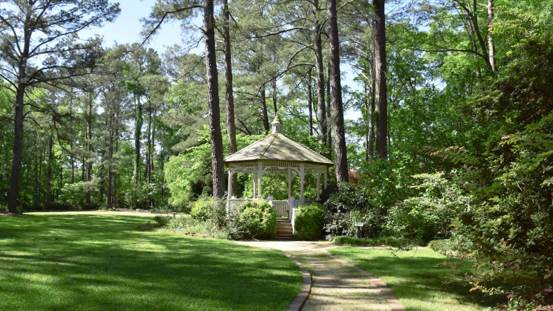 White garden gazebo amongst trees