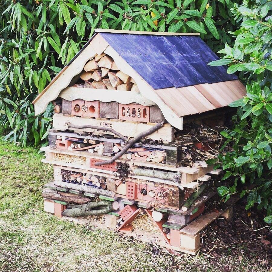 Bug hotel