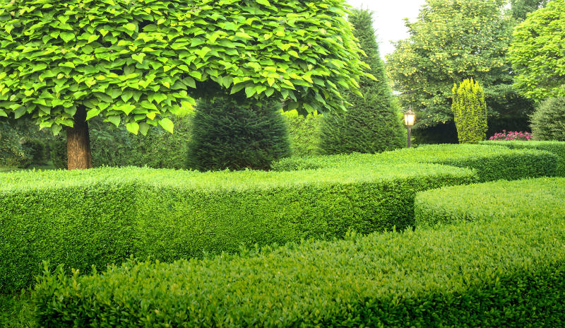 formal clipped hedging