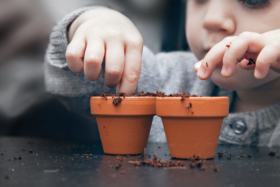 young child planting seeds