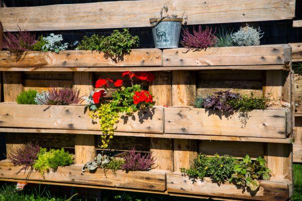 pallet planter