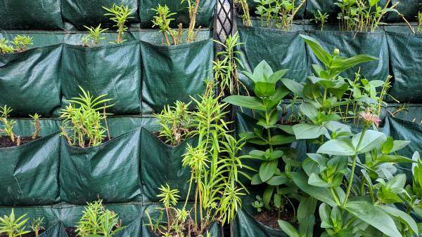planted fabric pockets