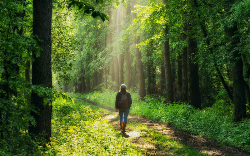 woman walking in woodland