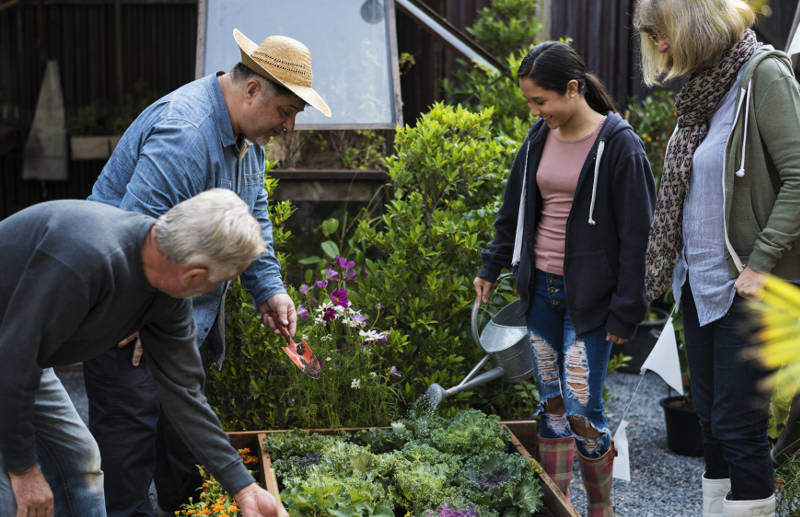 working on allotment