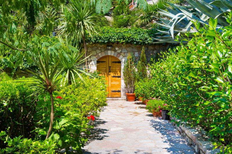 Mediterranean garden