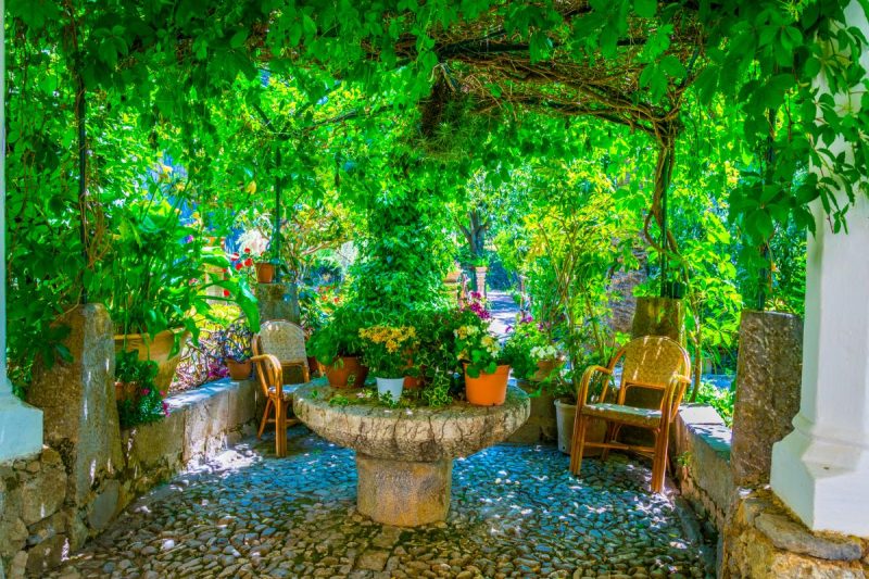 pergola over seating area in Mediterranean garden