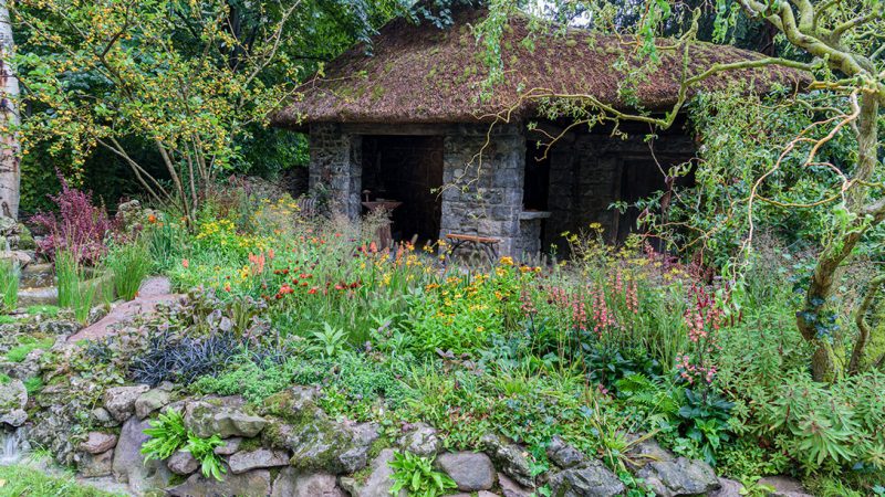 RHS Chelsea 2021 Blue Diamond Forge