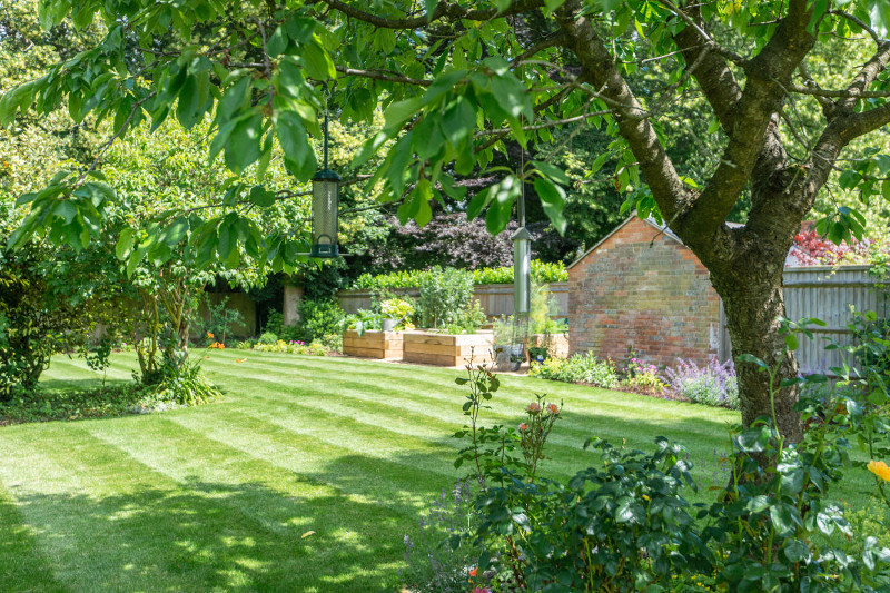 Wildlife friendly landscaped garden