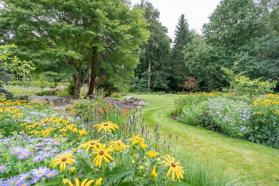 Winding lawn through maintained grounds