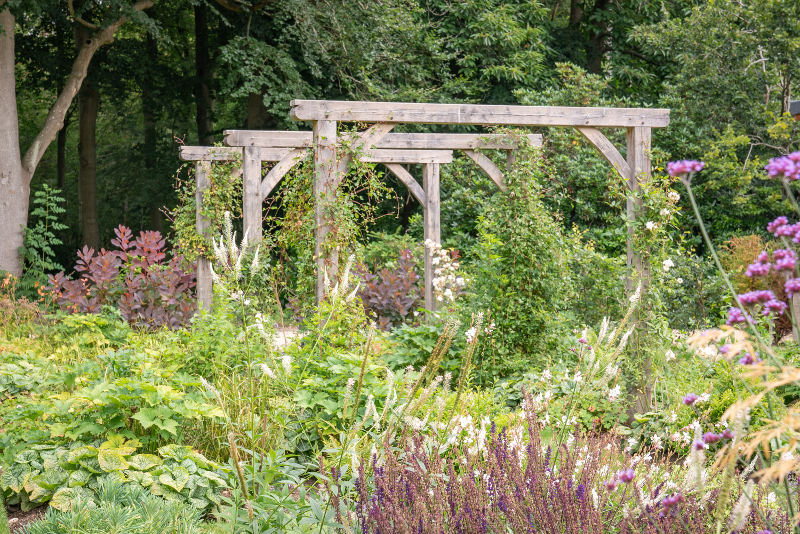 Pergola with planting