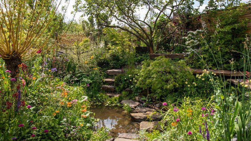 FloodRe Garden planting around pond