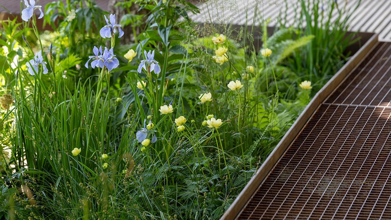 WaterAid Garden. Elevated walkway.